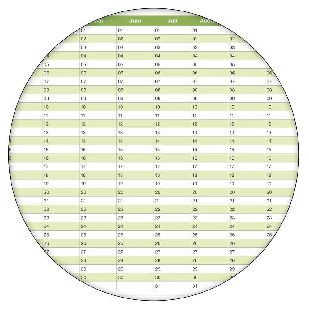 Dauerkalender DIN B0 XXL abwischbarer Wandkalender gerollt mit Marker 250 g Papier